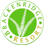 Brackenridge